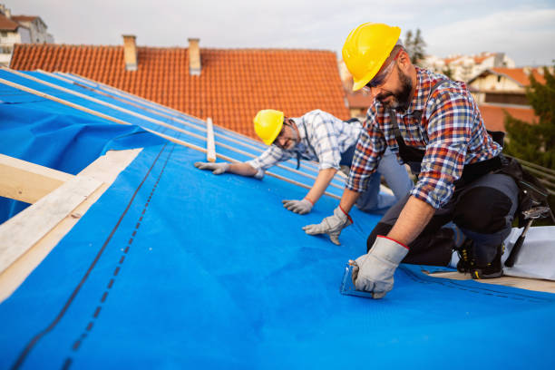 Best Roof Leak Repair  in Arlington, VA